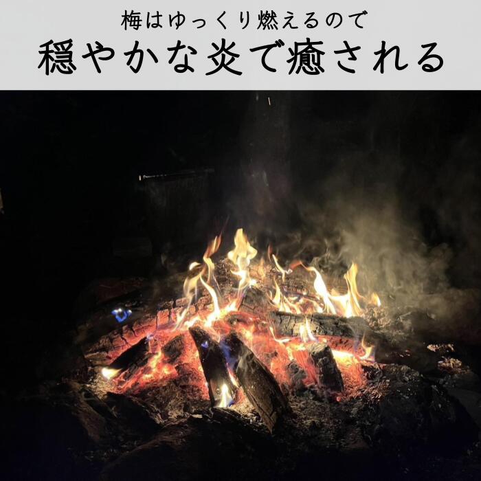 【ふるさと納税】梅の薪 14kg 梅ボーイズ 広葉樹 焚き火台や薪ストーブにぴったり約35cm | 薪 薪ストーブ 暖炉 キャンプ アウトドア 焚き火