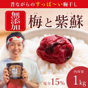 【ふるさと納税】【無添加梅干し】天日塩と紫蘇だけで漬けた梅干し / 南高梅 / 梅ボーイズ