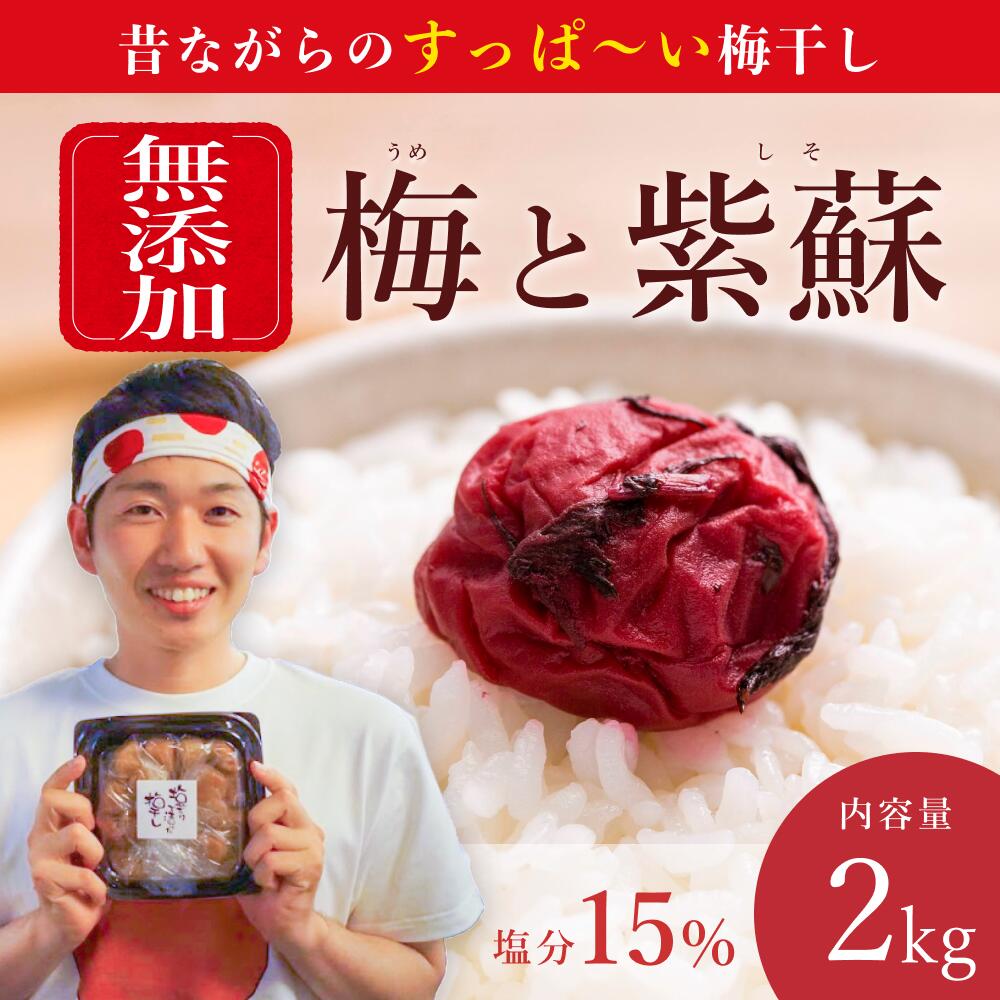 【ふるさと納税】【最大3ヶ月待ち】【無添加梅干し】塩と紫蘇だけで漬けた梅干し1kg×2パック | 梅干し 南高梅 梅ボーイズ 無添加 天日塩 紫蘇 しそ ご飯の...