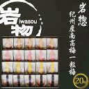 【ふるさと納税】岩惣 紀州南高梅一粒梅 20粒 400g | 紀州 和歌山 みなべ町 南高梅 梅干し うめ 梅干 贈り物 ギフト 贈答品