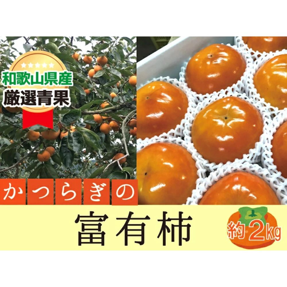 柿 富有柿[秀品]和歌山県産 約2kg [2026年11月中旬から2026年12月上旬発送]|柿 フルーツ 果物 秀品 富有柿