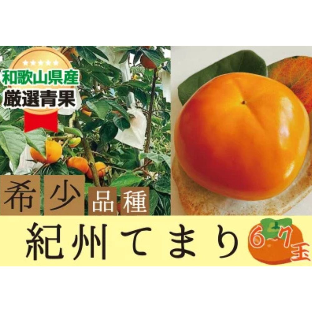 【ふるさと納税】希少品種の柿〇紀州てまり〇6～7玉入り【2026年10月下旬以降発送】｜柿 フルーツ 果物 希少 輝太郎