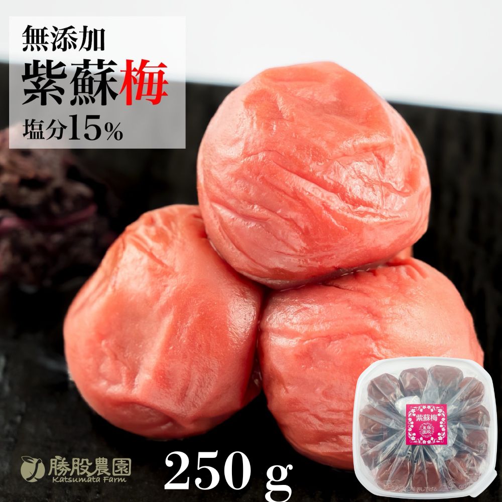 紫蘇と塩のみで漬け込んだ紀州南高梅 塩分15％ 250g ｜ 和歌山県 みなべ町 梅干し 梅干 うめぼし 梅 紫蘇 しそ梅 しそ漬け