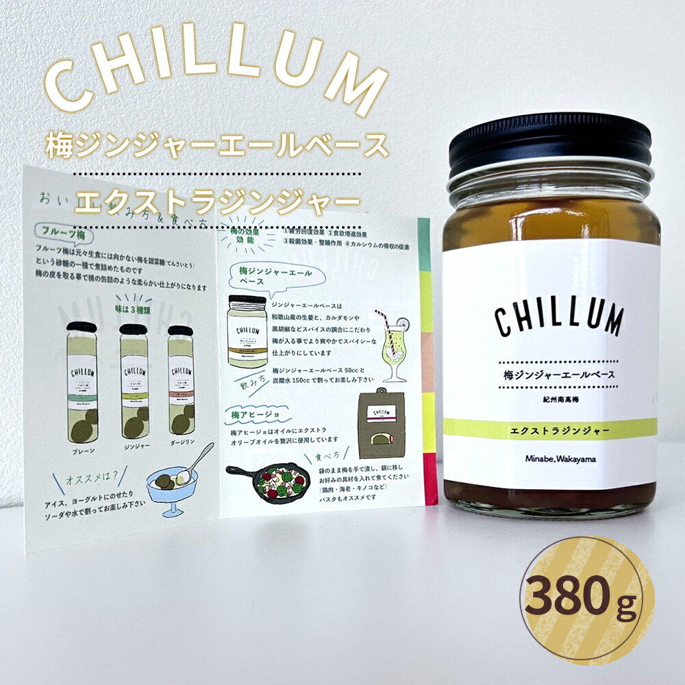 【ふるさと納税】CHILLUM 梅ジンジャーエールベース | 希釈用 梅シロップ 梅ジュース 梅ドリンク 梅サワー 梅ソーダ