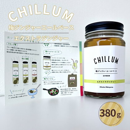 CHILLUM 梅ジンジャーエールベース | 希釈用 梅シロップ 梅ジュース 梅ドリンク 梅サワー 梅ソーダ