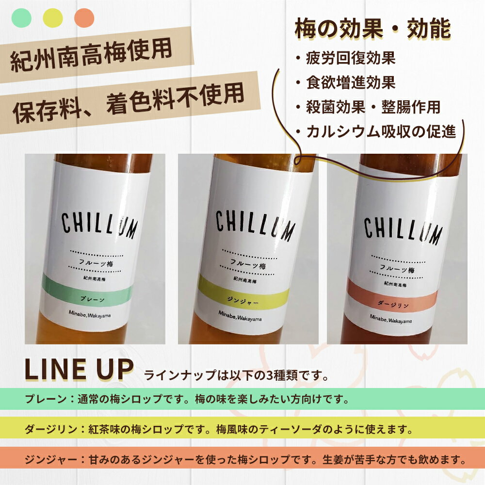 【ふるさと納税】CHILLUM フルーツ梅 3本セット | 希釈用 梅シロップ 梅ジュース 梅ドリンク 梅サワー 梅ソーダ