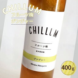 【ふるさと納税】CHILLUM フルーツ梅ジンジャー | 希釈用 梅シロップ 梅ジュース 梅ドリンク 梅サワー 梅ソーダ