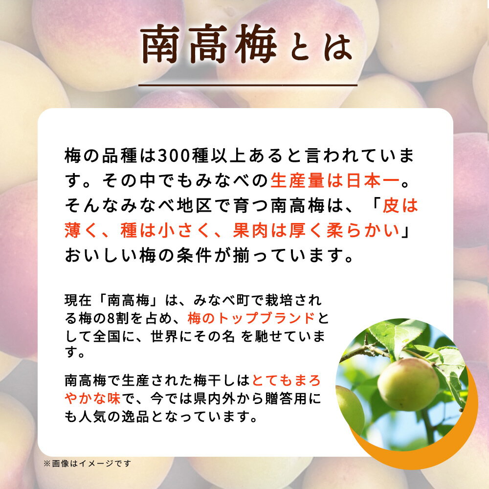 新進 国産野菜 カレー福神漬 減塩 100g×10入