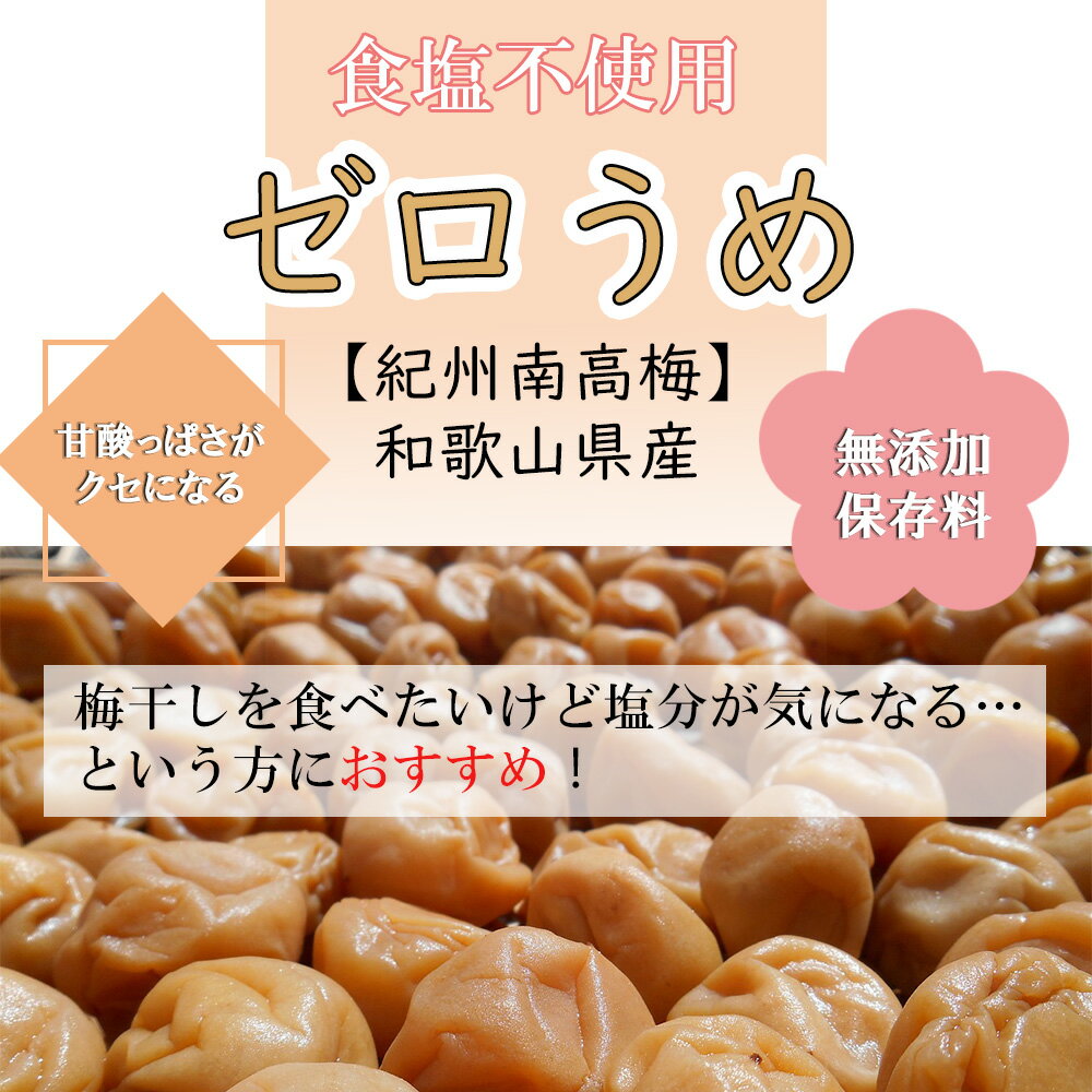 【ふるさと納税】ゼロ梅（甘酸っぱい）200g×2パック | 梅干 梅干し 紀州南高梅 南高梅 ウメ うめ 食塩不使用