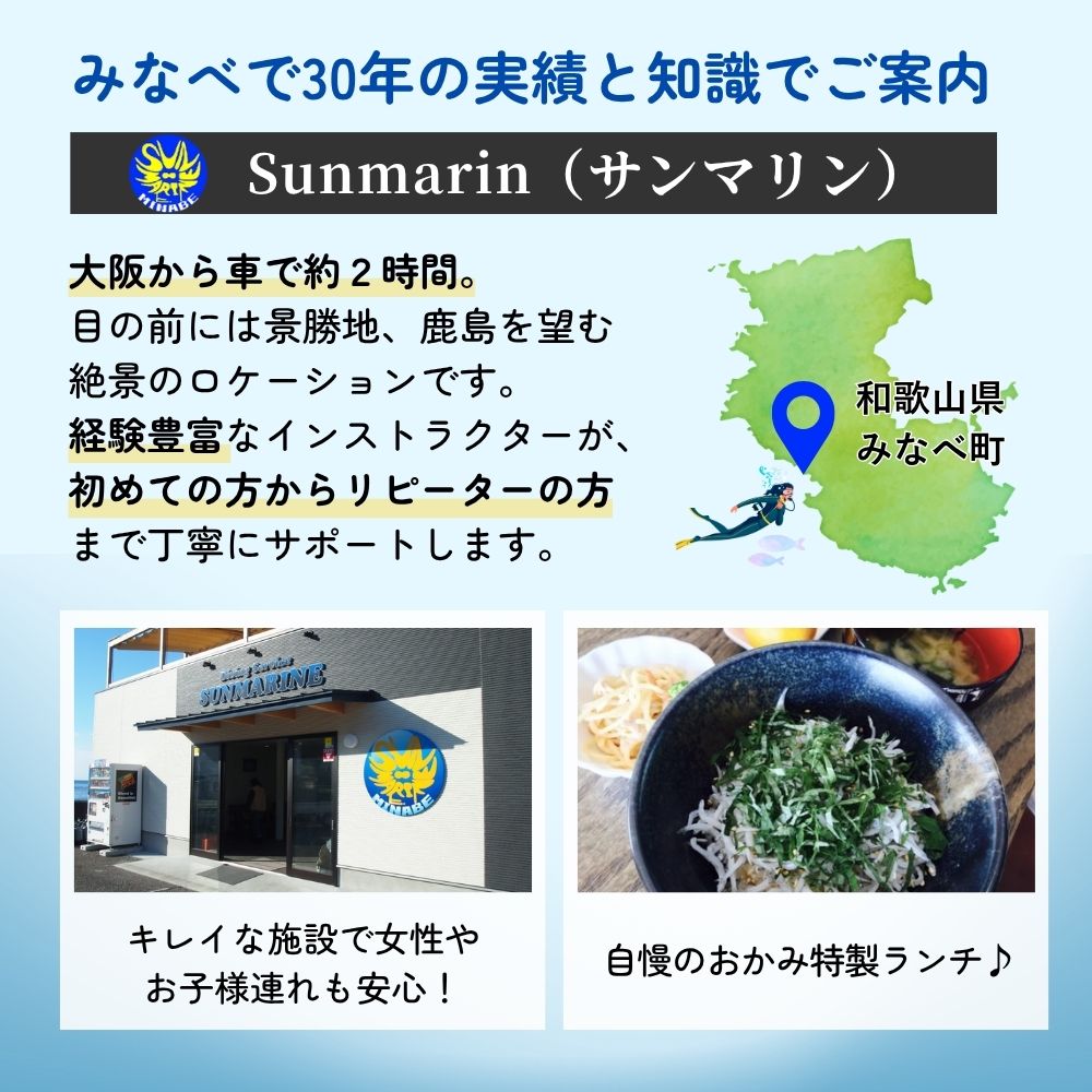 【ふるさと納税】天然ひらめフライ （500g~3kg）｜ 天然 ひらめ ヒラメ フライ 海鮮 和歌山県 みなべ町 f303917-minabe-10000882 和歌山県みなべ町 サンプル画像2