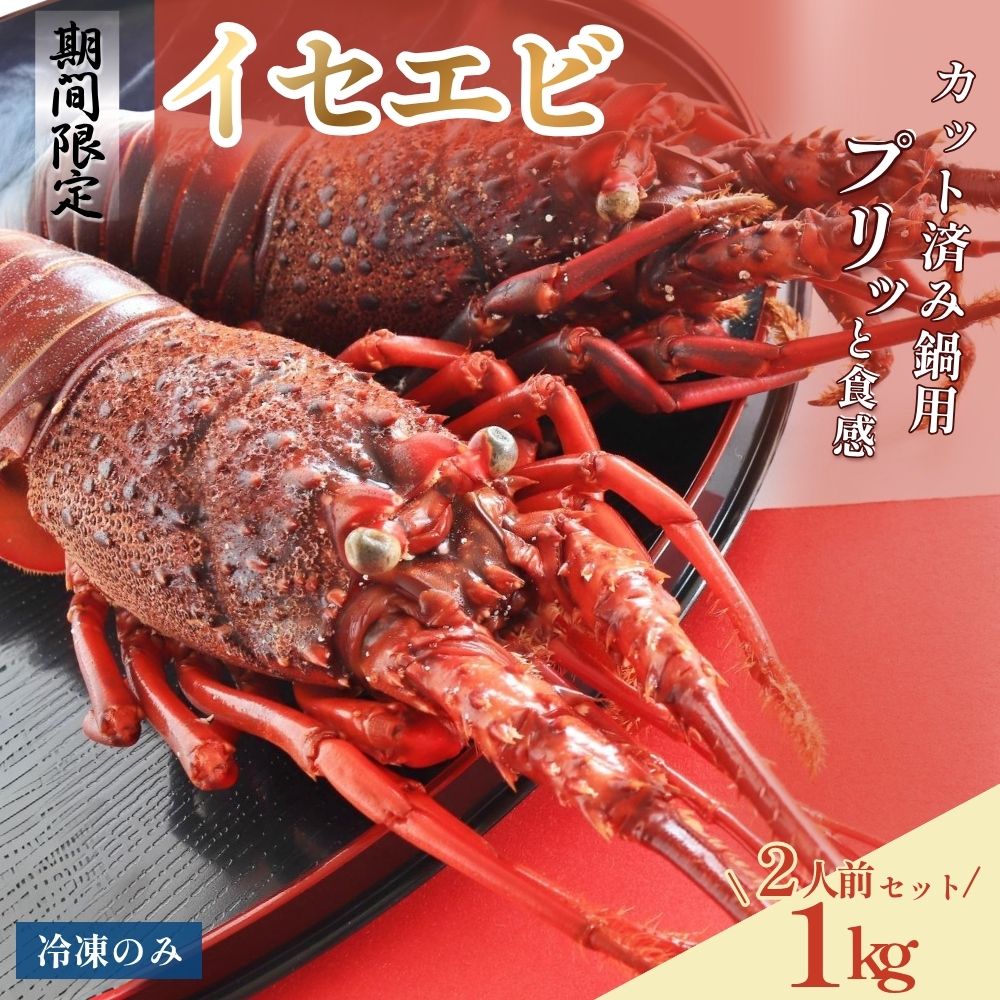 【2026年9月末受付開始】冷凍 カット済み鍋用イセエビ（2人前・約1kg） ｜ イセエビ 伊勢海老 高級 イセエビ鍋 鍋 海鮮 冬 和歌山県 みなべ町