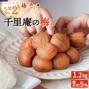 中粒で食べやすい南高梅にハチミツの味わいを加えました。 千里庵オリジナルのまろやかな梅干です。商品詳細 名称調味梅干 原材料梅、漬け原材料（還元水飴、食塩、はちみつ、醸造酢、砂糖、発酵調味料）/ 酒精、調味料（アミノ酸等）、甘味料（スクラロース）、V.B1 原料原産地和歌山県産（梅） 内容量1200g 塩分約5％ 保存方法高温多湿を避けて保存 製造者梅吉食品株式会社 栄養成分表示（100g当たり） エネルギー：112kcal たんぱく質：0.8g 脂質：0.2g 炭水化物：26.7g 食塩相当量：5.8g 注意事項種にご注意ください。開封後用冷蔵 ・ふるさと納税FAQはこちら ・寄附申込みのキャンセル、返礼品の変更・返品はできません。あらかじめご了承ください。季節のご挨拶母の日 父の日 初盆 お盆 御中元 お中元 お彼岸 残暑御見舞 残暑見舞い 敬老の日 寒中お見舞 クリスマス クリスマスプレゼント お歳暮 御歳暮 春夏秋冬 御正月 お正月 御年賀 お年賀 御年始ご挨拶御挨拶 ごあいさつ 引越しご挨拶 引っ越し お宮参り御祝 御見舞 退院祝い 全快祝い 快気祝い 快気内祝い 志 進物祝事合格祝い 進学内祝い 成人式 御成人御祝 卒業記念品 卒業祝い 御卒業御祝 入学祝い 入学内祝い 小学校 中学校 高校 大学 就職祝い 社会人 幼稚園 入園内祝い 御入園御祝 お祝い 御祝い 内祝い 金婚式御祝 銀婚式御祝 御結婚お祝い ご結婚御祝い 御結婚御祝 結婚祝い 結婚内祝い 結婚式 引き出物 引出物 引き菓子 御出産御祝 ご出産御祝い 出産御祝 出産祝い 出産内祝い 御新築祝 新築御祝 新築内祝い 祝御新築 祝御誕生日 バースデー バースディ バースディー 七五三御祝 753 初節句御祝 節句 昇進祝い 昇格祝い 就任　61歳 還暦（かんれき） 還暦御祝い 還暦祝 祝還暦 華甲（かこう）弔事御供 お供え物 粗供養 御仏前 御佛前 御霊前 香典返し 法要 仏事 新盆 新盆見舞い 法事 法事引き出物 法事引出物 年回忌法要 一周忌 三回忌 七回忌 十三回忌 十七回忌 二十三回忌 二十七回忌 御膳料 御布施法人様向け御開店祝 開店御祝い 開店お祝い 開店祝い 御開業祝 周年記念 来客 お茶請け 御茶請け 異動 転勤 定年退職 退職 挨拶回り 転職 お餞別 贈答品 粗品 粗菓 おもたせ 菓子折り 手土産 心ばかり 寸志 新歓 歓迎 送迎 新年会　忘年会 二次会 記念品 景品 開院祝いプチギフトお土産 ゴールデンウィーク GW 帰省土産 バレンタインデー バレンタインデイ ホワイトデー ホワイトデイ お花見 ひな祭り 端午の節句 こどもの日 ギフト プレゼントこんな方におじいちゃん おばあちゃん お父さん お母さん 父 母 兄弟 姉妹 子供 奥さん 彼女 旦那さん 彼氏 先生 職場 先輩 後輩 同僚ふるさと応援寄付を活用して行う町の取り組みみなべ町では、お寄せいただいた寄付金を「みなべ町ふるさと応援寄付金」として、次の事業に使わせていただきます。希望のメニューをお選びください。み　緑豊かで快適なまちづくりな　永く住みたい魅力のあるまちづくりべ　便利・安心・安全なまちづくりちょ　町民参画と官民協働のまちづくりう　うめ世界一の元気なまちづくり特定基金（みなべ町ふるさと応援奨学基金）特に使途を定めない（おまかせコース）