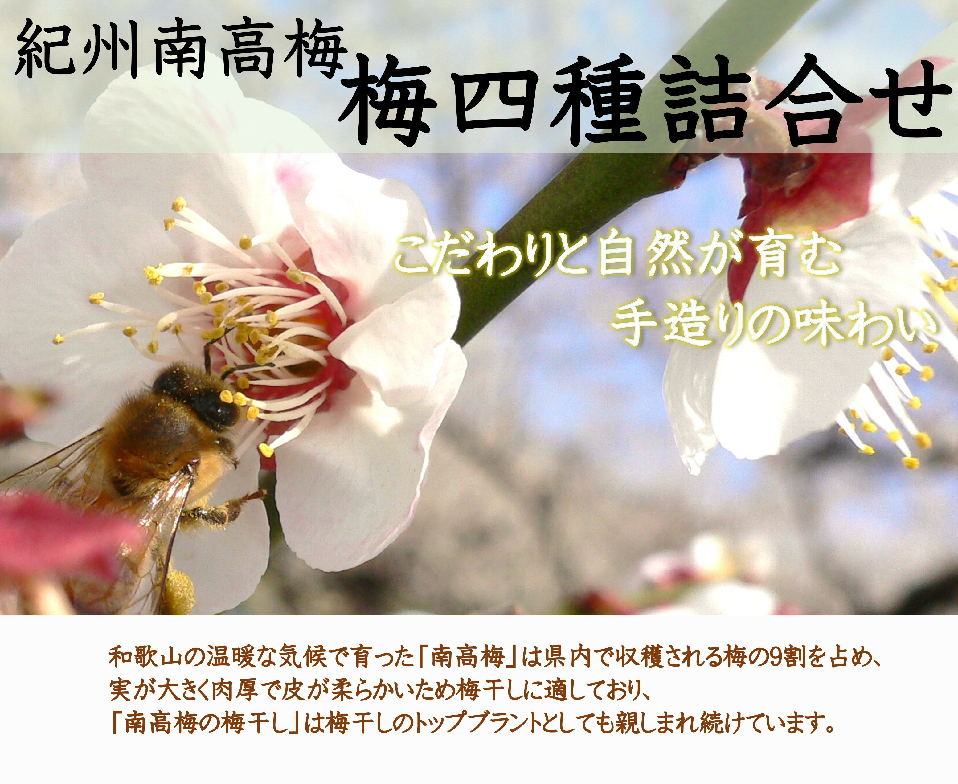 【ふるさと納税】厳選 紀州南高梅 四種詰合せ 計800g(200g×4)