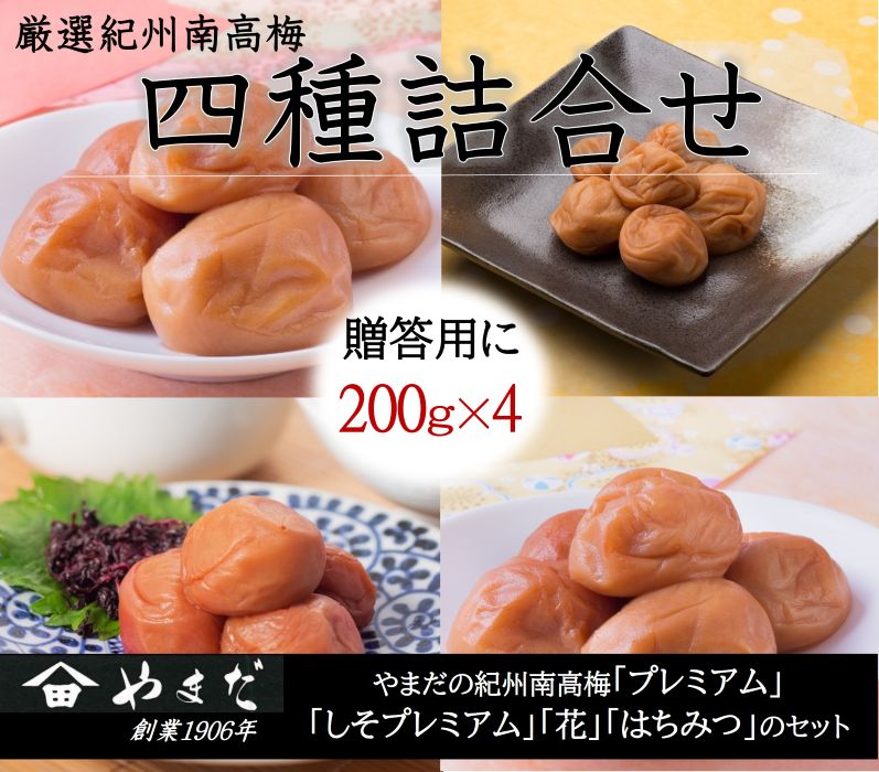 【ふるさと納税】厳選 紀州南高梅 四種詰合せ 計800g(200g×4)