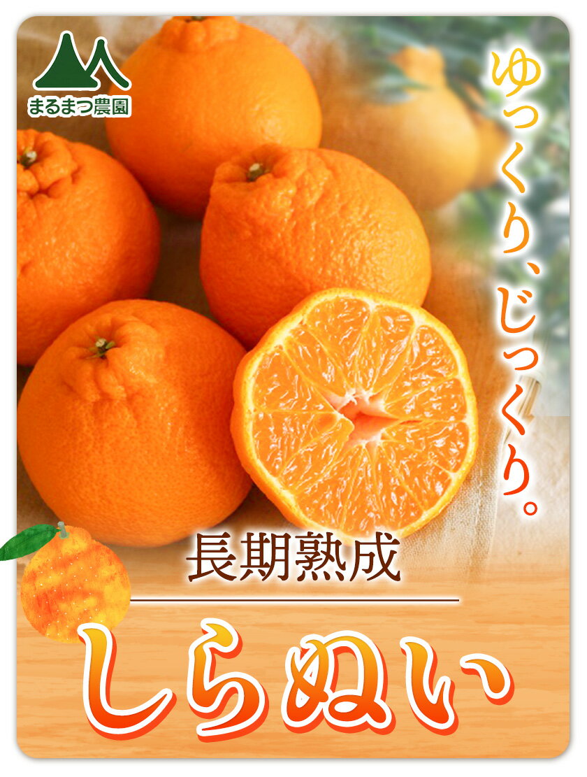 【ふるさと納税】長期熟成 しらぬい 約 3kg（10～15個） 約 5kg（18～24個）まるまつ農園《5月上旬-6月上旬頃より出荷予定》 和歌山県 日高川町 不知火 柑橘 しらぬい 熟成 長期熟成 果物 フルーツ