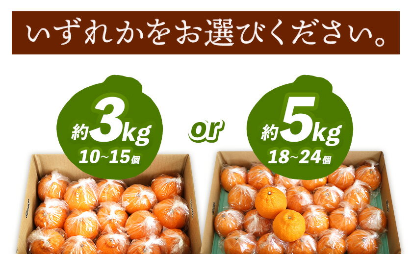 【送料サービス対象】レモンマフィア　瀬戸内冷凍レモン（カットレモン）　 1kg×3袋【お得なまとめ買い！】
