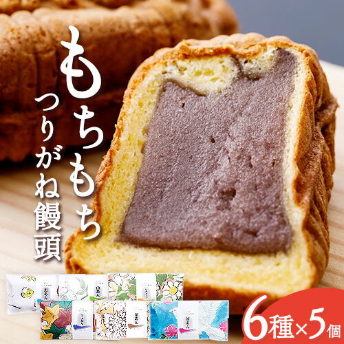 【ふるさと納税】あんちんのもちもちつりがね 饅頭 スペシャルセット 全6種×5個 計30個 有限会社あんちん 《30日以内に出荷予定(土日祝除く)》 和歌山県 日高川町 まんじゅう 饅頭 和菓子 スイーツのサムネイル