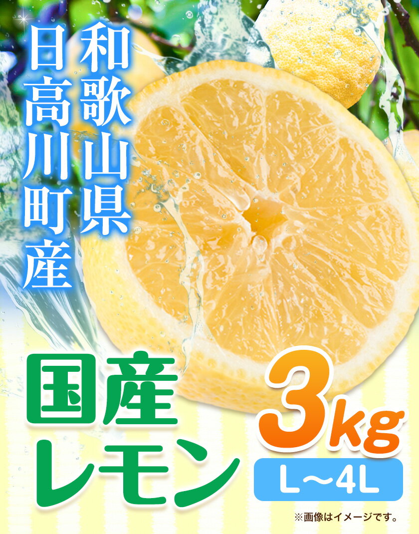 【ふるさと納税】レモン 国産 レモン 3kg(L～4Lサイズ) ノーワックス 減農薬 どの坂果樹園《2024年2月上旬-6月末頃より出荷》 和歌山県 日高川町 レモン れもん 檸檬 旬 果物 フルーツ 柑橘 産地直送 送料無料