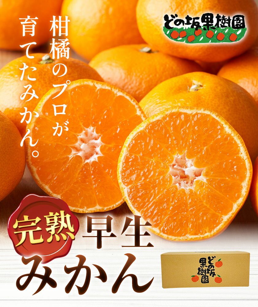 【ふるさと納税】＜先行予約＞早生 みかん 2S〜Lサイズ 約 5kg 約 10kg どの坂果樹園《12月上旬-1月末頃出荷予定》 和歌山県 日高川町 みかん 早生 旬 柑橘 フルーツ 果物 蜜柑 ミカン 2025年出荷