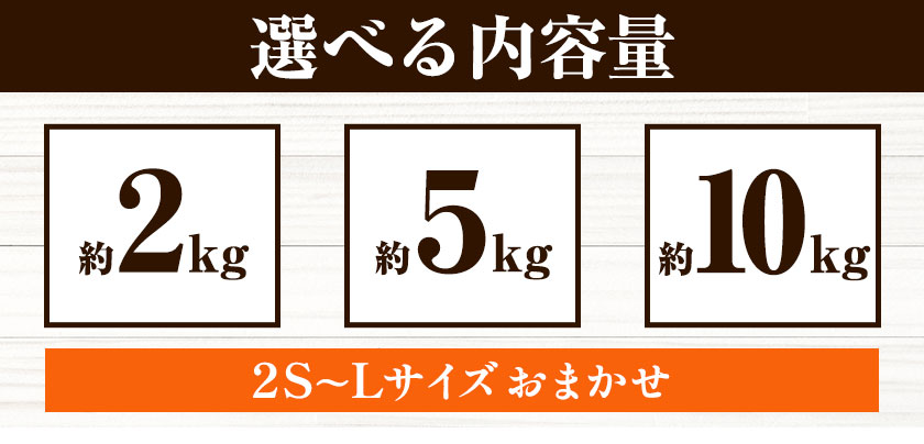 【ふるさと納税】＜先行予約＞早生 みかん 2S〜Lサイズ 約 5kg 約 10kg どの坂果樹園《12月上旬-1月末頃出荷予定》 和歌山県 日高川町 みかん 早生 旬 柑橘 フルーツ 果物 蜜柑 ミカン 2025年出荷