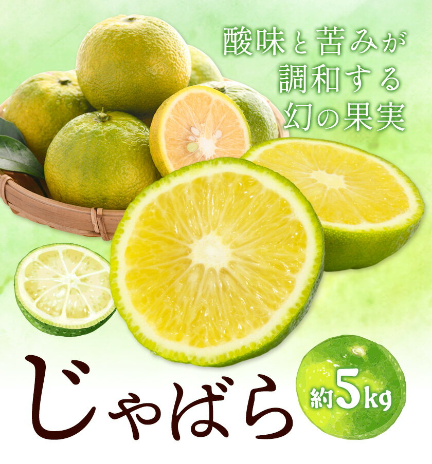 【ふるさと納税】じゃばら 約5kg どの坂果樹園《2025年10月下旬-2月上旬頃出荷》和歌山県 日高川町 柑橘類 旬 フルーツ 果物 柑橘 風味付け ドリンク マーマレード 送料無料