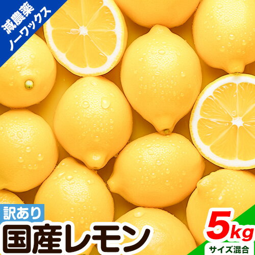 レモン 訳あり 国産 レモン 5kg (サイズ混合) ノーワックス 減農薬 どの坂果樹園《2024年2月上旬-6月末頃より出荷》 和歌山県 日高川町 レモン れもん 檸檬 家庭用 旬 新鮮 果物 柑橘 フルーツ 訳あり 大容量 Lemon remon 送料無料