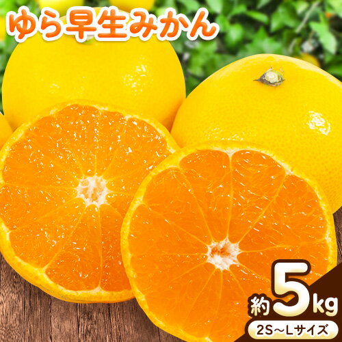 ゆら 早生 みかん 約 5kg (2S〜Lサイズ) どの坂果樹園[10月中旬-12月上旬頃出荷予定] 和歌山県 日高川町 みかん ゆら早生 旬 柑橘 フルーツ 果物 ミカン 蜜柑