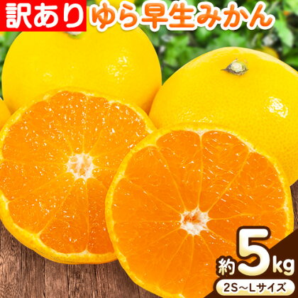 訳あり ゆら 早生 みかん 約 5kg (2S～Lサイズ) どの坂果樹園《10月中旬-12月上旬頃出荷予定》 和歌山県 日高川町 みかん ゆら早生 訳あり 旬 柑橘 フルーツ 果物 ミカン 蜜柑 家庭用 わけあり