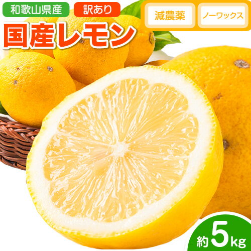 [先行予約]レモン 訳あり 国産 レモン 5kg (サイズ混合) ノーワックス 減農薬 どの坂果樹園[2026年2月上旬-5月末頃より出荷] 和歌山県 日高川町 レモン れもん 檸檬 家庭用 旬 新鮮 果物 柑橘 フルーツ 訳あり 大容量 Lemon remon 送料無料