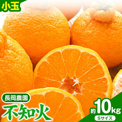 小玉 不知火 ( デコポン )と同品種 約10kg 長岡農園[2026年3月中旬-4月下旬頃出荷]和歌山県 日高川町 果物 フルーツ 柑橘 不知火 しらぬい 小玉 送料無料