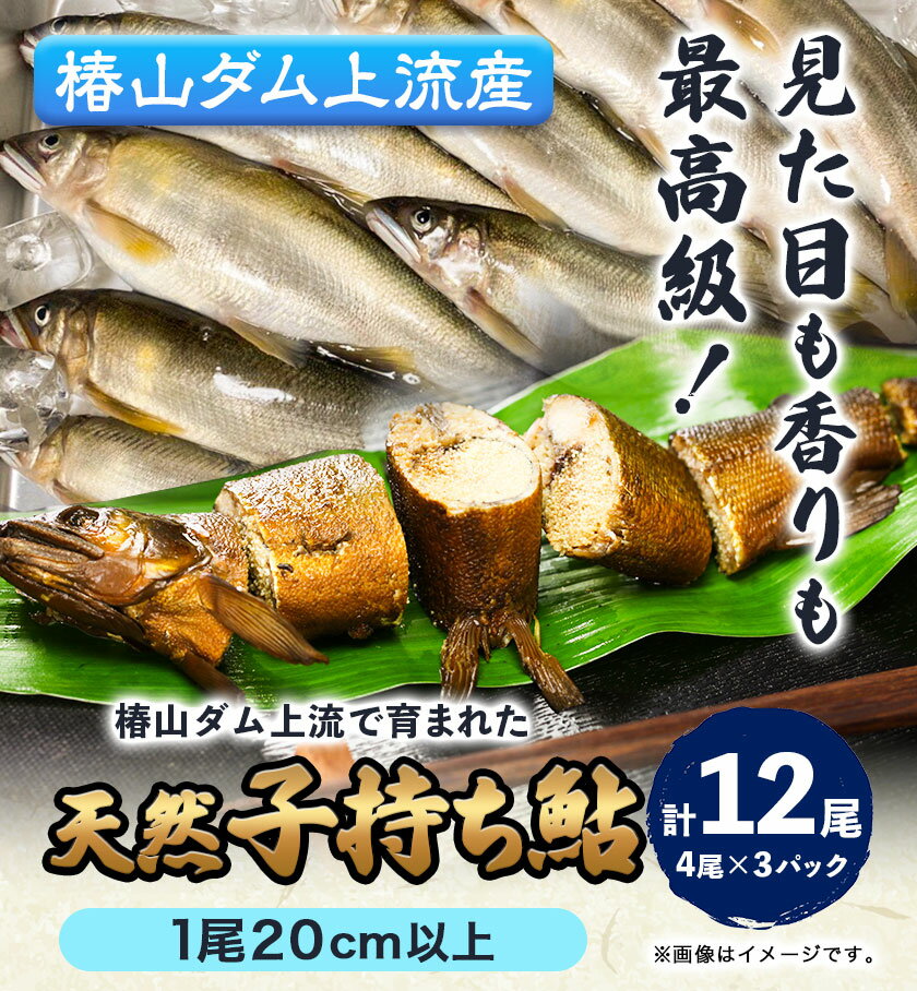 【ふるさと納税】日高川椿山ダム上流 天然 子持ち鮎 20cm以上 4尾×3パック 計12尾 川漁師なおべ《10月下旬-1月上旬頃出荷》 和歌山県 日高川町 あゆ 鮎 天然鮎 魚
