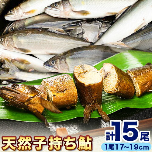 その他水産物(アユ)人気ランク28位　口コミ数「0件」評価「0」「【ふるさと納税】 日高川椿山ダム上流 天然子持ち鮎 17cm-19cm 5尾×3パック 計15尾 川漁師なおべ《10月下旬-1月上旬頃出荷》 和歌山県 日高川町 あゆ 鮎 天然鮎 魚」