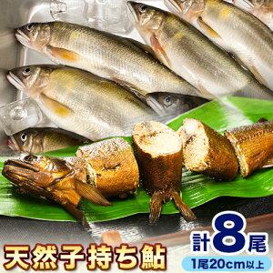 【ふるさと納税】日高川椿山ダム上流 天然 子持ち鮎 20cm以上 4尾×2パック 計8尾 川漁師なおべ《10月下旬-1月上旬頃出荷》 和歌山県 日高川町 あゆ 鮎 天然鮎 魚