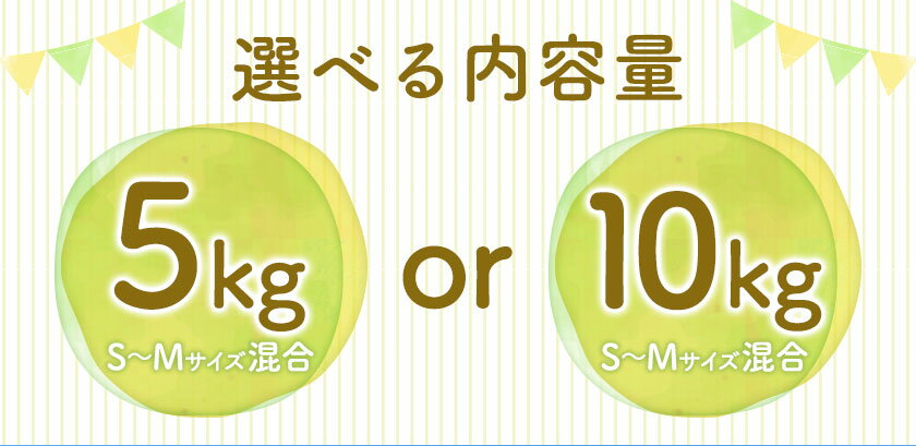 【先行予約】【ふるさと納税】宮川 早生 みかん 選べる 内容量 約 5kg (S〜Mサイズ) 約 10kg (S〜Mサイズ) 松井農園《2025年12月上旬-2026年1月上旬頃出荷予定》 和歌山県 日高川町 みかん早生 旬 柑橘 フルーツ 果物 ミカン 蜜柑