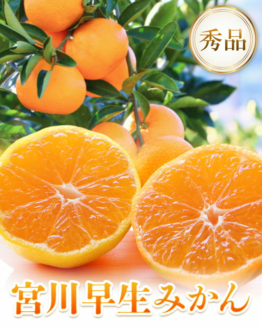 【先行予約】【ふるさと納税】宮川 早生 みかん 選べる 内容量 約 5kg (S〜Mサイズ) 約 10kg (S〜Mサイズ) 松井農園《2025年12月上旬-2026年1月上旬頃出荷予定》 和歌山県 日高川町 みかん早生 旬 柑橘 フルーツ 果物 ミカン 蜜柑