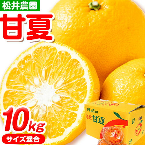 【先行予約】【ふるさと納税】パック入り甘夏 10kg(サイズ混合) 松井農園《2026年4月上旬-5月中旬頃出荷》和歌山県 日高川町 フルーツ 柑橘 あまなつ