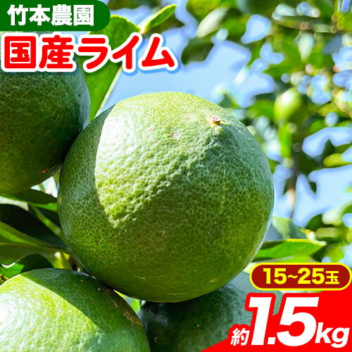 ライム 国産 ライム 約1.5kg ( 15〜25玉 )[9月下旬-12月中旬頃出荷]竹本農園 和歌山県 日高川町 産地直送 旬 新鮮 果物 柑橘 らいむ フルーツ 国産 送料無料