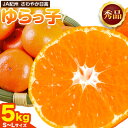 【ふるさと納税】秀品 温州みかん ゆらっ子 約5kg JA紀州 さわやか日高 《2025年12月上旬-2026年1月上旬頃出荷》和歌山県 日高川町 温州みかん ...