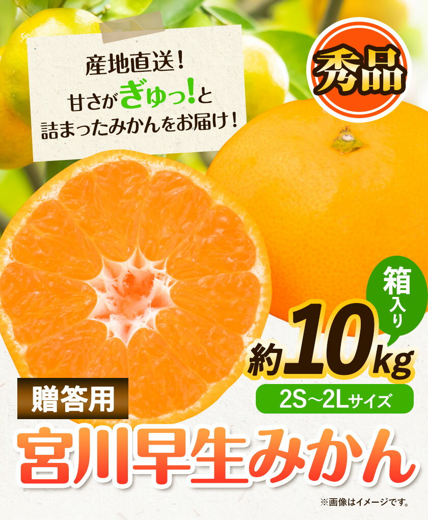 【ふるさと納税】【先行予約】秀品 贈答用 宮川 早生 みかん 約 10kg (2S〜2Lサイズ) 笑いの里のTommyファーム《11月下旬-1月上旬頃出荷》和歌山県 日高川町 みかん 早生 贈答用 旬 柑橘 フルーツ 果物 ミカン 柑 産地直送 箱入り