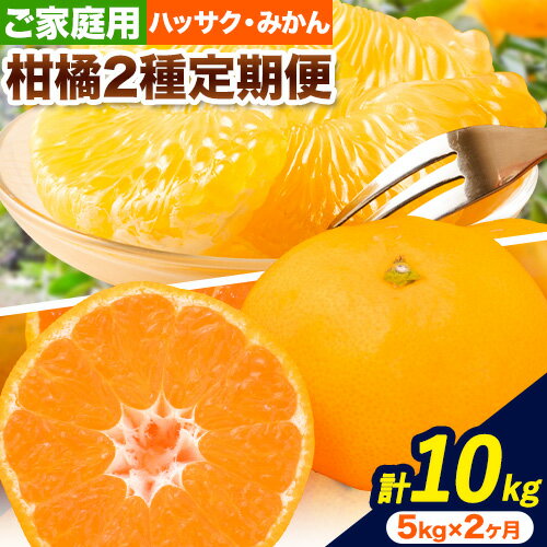【ふるさと納税】【発送月固定定期便】農家直送!ご家庭用 2種の柑橘定期便 【訳あり】全2回 約 5kg 合計10kg 笑いの里のTommyファーム《12月上旬-2026年3月末頃出荷》和歌山県 日高川町 みかん 定期便 早生 柑橘 フルーツ 果物 ミカン はっさく ハッサク 八朔 産地直送