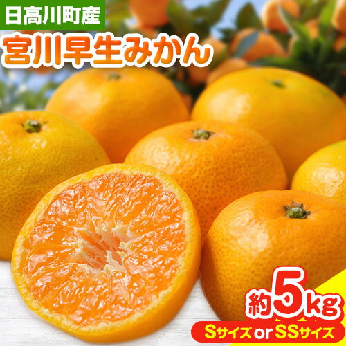 28位! 口コミ数「0件」評価「0」和歌山県産 みかん 約5kg （ Sサイズ ） または （ SSサイズ ） 冬木農園 《2024年12月上旬‐1月中旬頃出荷予定》 和歌山県･･･ 