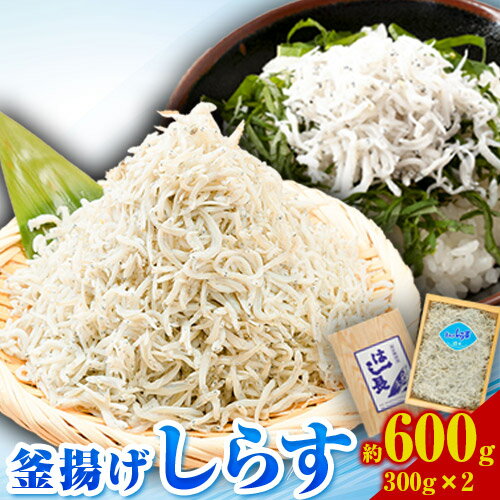 釜揚げ しらす 約 600g (約300g×2) 株式会社はし長 [30日以内に出荷予定(土日祝除く)] 和歌山県 日高川町 釜揚げしらす シラス