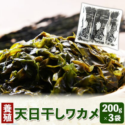 59位! 口コミ数「0件」評価「0」天日干しワカメ(養殖) 約 600g 約 200g ×3袋 株式会社はし長 《30日以内に出荷予定(土日祝除く)》 和歌山県 日高川町 わか･･･ 