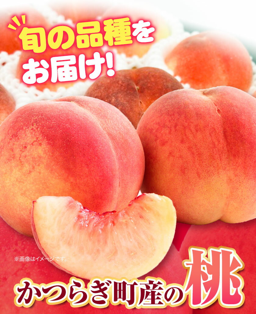 【ふるさと納税】桃 かつらぎ町産 選べる 内容量 約 1kg 約 2kg 紀農人株式会社《2025年6月上旬-8月中旬頃出荷》 和歌山県 日高川町 果物 フルーツ 桃 もも モモ 旬