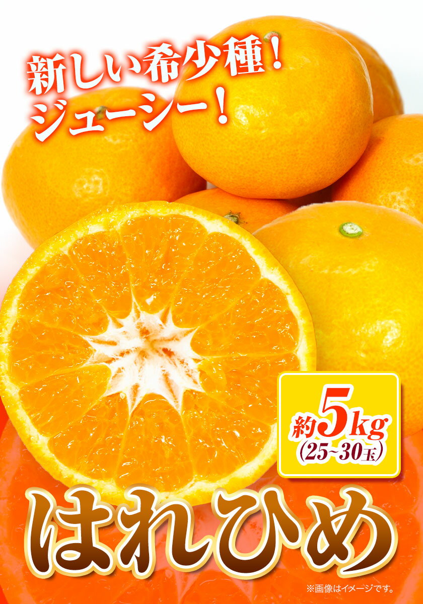 【ふるさと納税】みかん はれひめ 約 5kg 25玉 ～ 30玉 紀農人株式会社《12月中旬-2月上旬頃出荷》 和歌山県 日高川町 果物 フルーツ 柑橘 蜜柑 柑橘類 旬