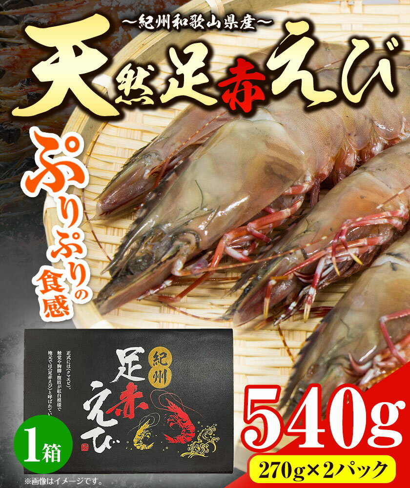 【ふるさと納税】＜先行予約＞紀州和歌山産天然足赤えび 540g(270g×2パック) 化粧箱入 魚鶴商店《2025年11月上旬-2月上旬頃出荷》和歌山県 日高川町 足赤えび えび エビ