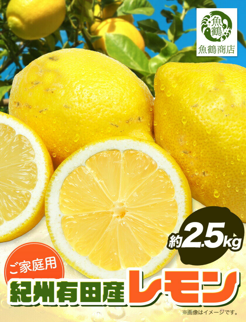 【ふるさと納税】【ご家庭用訳あり】紀州 有田産 レモン 約 2.5kg 魚鶴商店《3月上旬-3月中旬頃出荷》和歌山県 日高川町 柑橘 レモン れもん フルーツ 檸檬