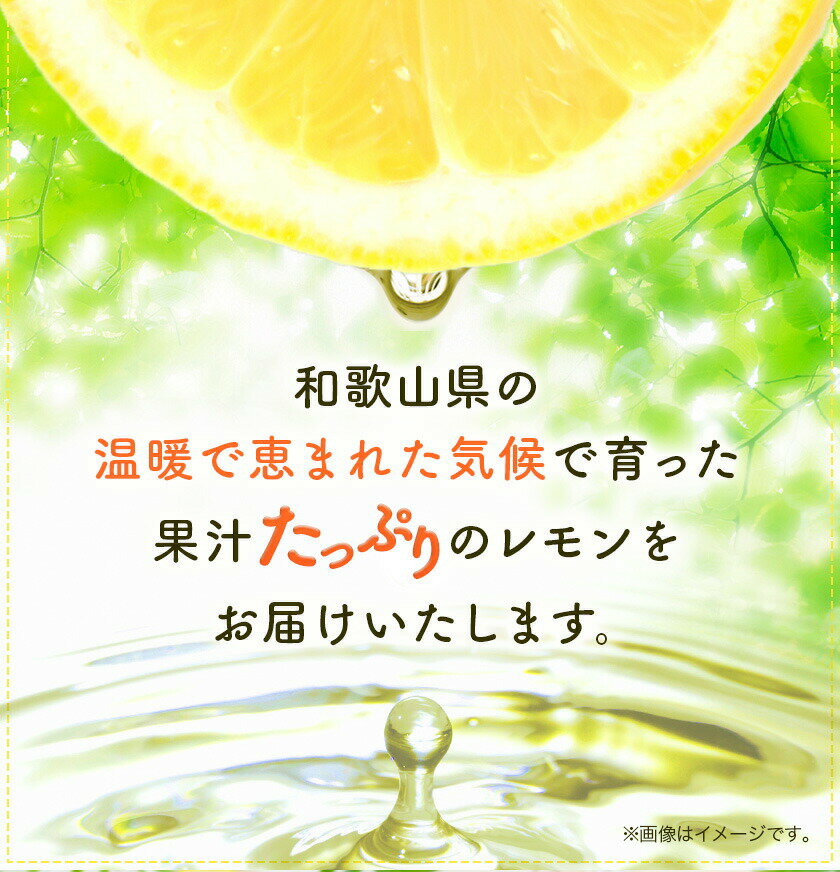 MANGOS オーガニックいちじく ひだまりドライ 120g 3個セット【送料無料/メール便】【有機JAS認定】
