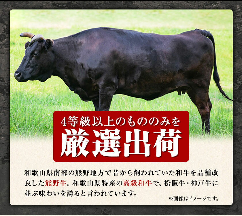 【ふるさと納税】熊野牛 A4以上ヒレシャトーブリアンステーキ 200g(100g×2) 霜降り ローススライス 200g 株式会社魚鶴商店《30日以内に出荷予定(土日祝除く)》 和歌山県 日高川町 熊野牛 黒毛和牛 A4等級以上 赤身 こま切れ
