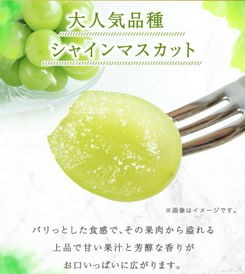 【ふるさと納税】紀州和歌山産 シャインマスカット 2房 魚鶴商店《8月上旬-9月末出荷》マスカット 和歌山県 日高川町 贈り物 ギフト ぶどう シャインマスカット